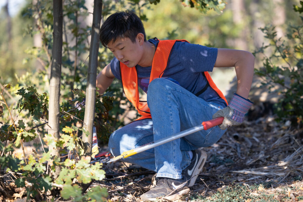 Man in safety vest using a tool in a forest, possibly related to biblical integration.